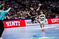 Tophåndboldfinale (EHF) i Hamborg